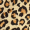 Multi Leopard Print Racer Neck Slip Mini Dress