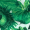 Green Floral Print Side Waist Cut Out Mesh Midi Dress