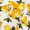 Cream Lemon Print Shirred Straps Button Detail Midi Dress