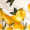 Cream Lemon Print V Neck Frill Hem Mini Dress
